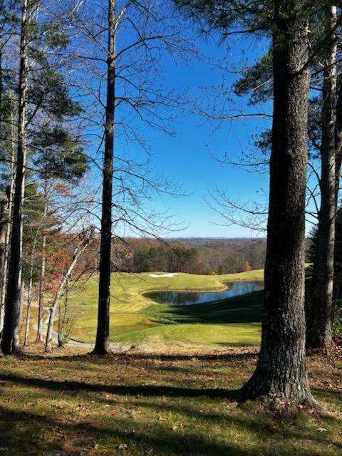 Sugar Bear Cabin With Boat Parking 5 Mins To State Park & Golf Vila Burkesville Exterior foto